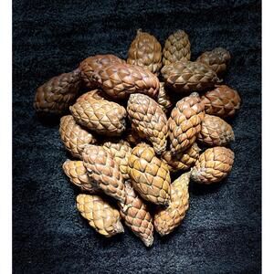 Natural Raffia Thika Palm Seed Pod, Decorative Only, Christmas, Sold Separately